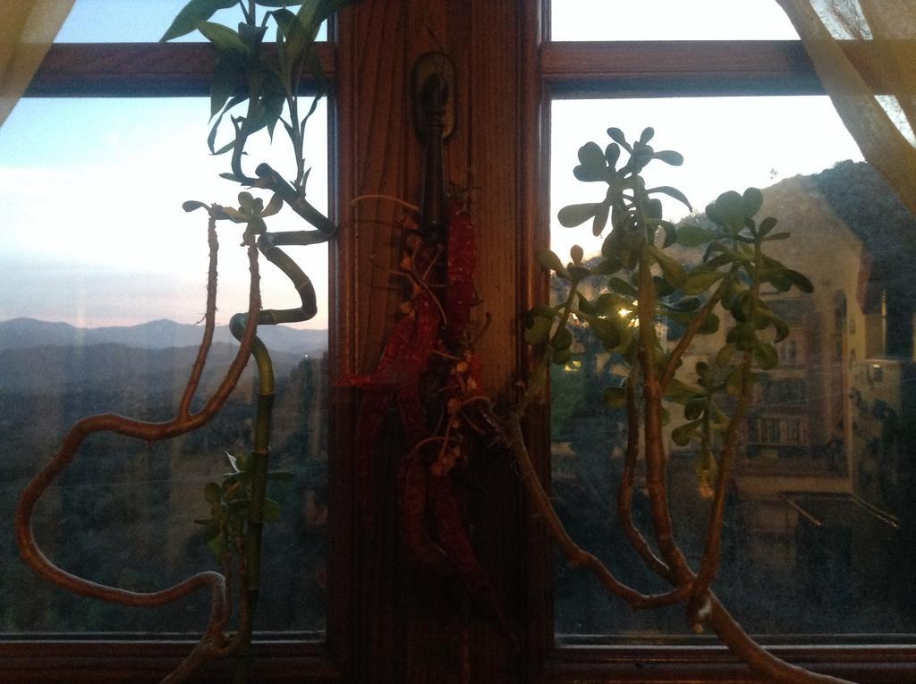 Bed & Breakfast Ca' Di Vissai Arnasco Exteriör bild