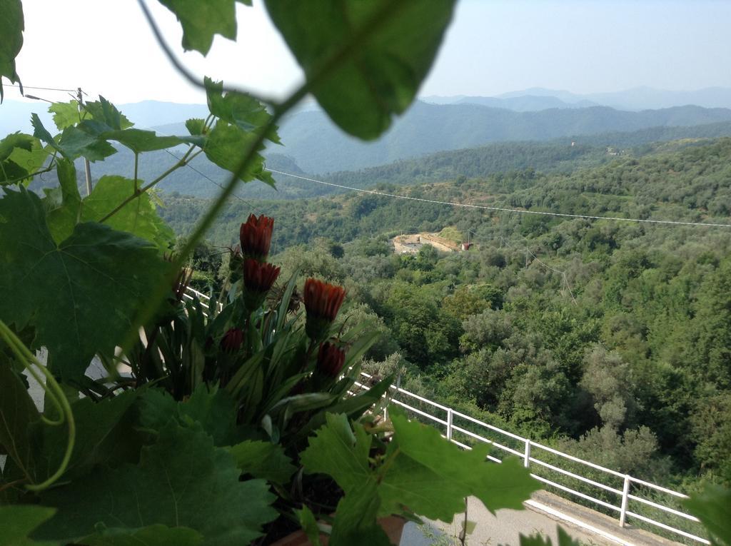 Bed & Breakfast Ca' Di Vissai Arnasco Exteriör bild