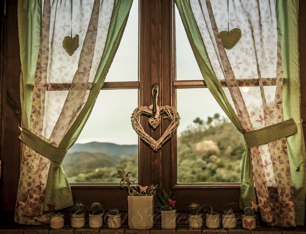 Bed & Breakfast Ca' Di Vissai Arnasco Exteriör bild