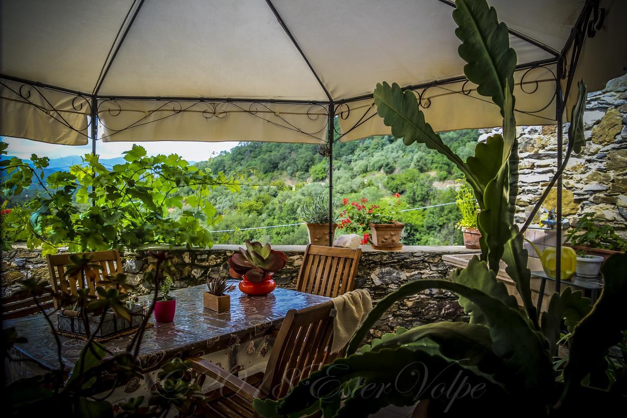 Bed & Breakfast Ca' Di Vissai Arnasco Exteriör bild